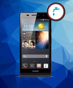 Wasserschadenreingung