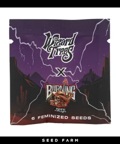 Wizard Trees - WINDU - Feminized